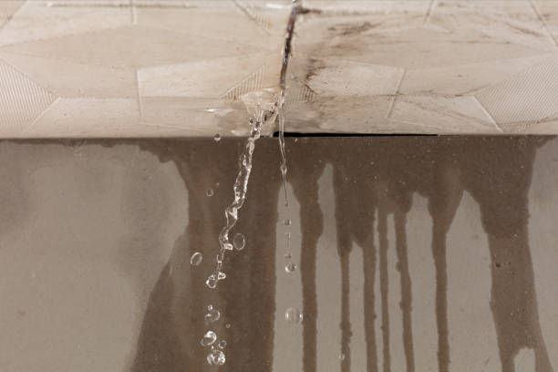 Professional Structural Drying technician working in Middle Bass, OH